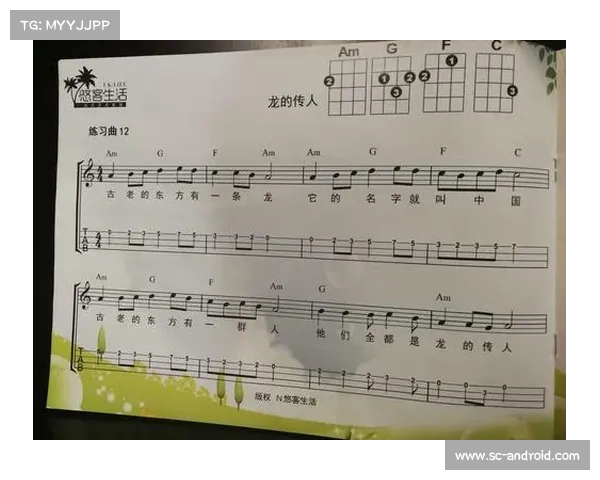 《龙的传人技能加点完全攻略与最优搭配技巧详解》