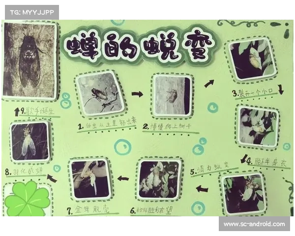 卷帘绿魔的生态奥秘揭秘 探索其生长环境与适应能力的奇妙之处