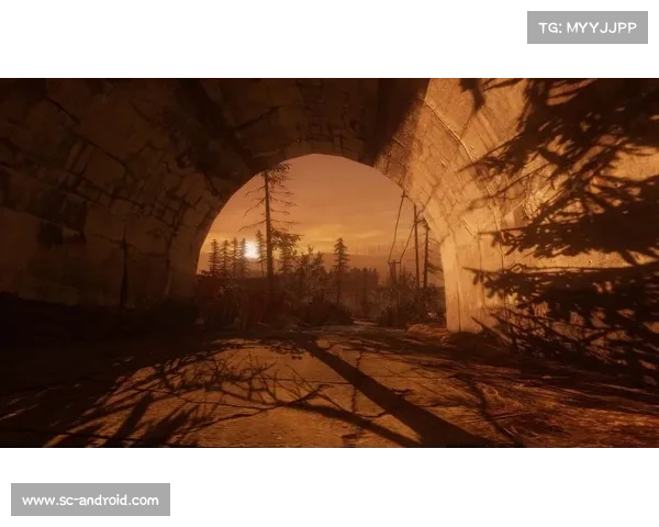 探秘伊瓦尔德废墟的注意事项与探险攻略分享 探秘伊瓦尔德废墟的注意事项与探险攻略分享