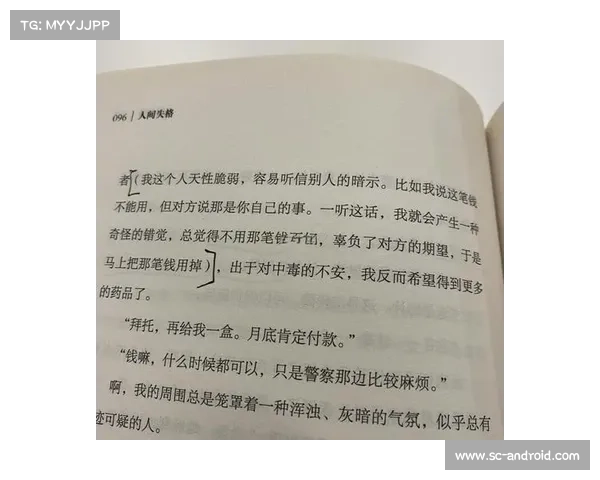 梦幻朱紫国：命运与情感交织的宏大叙事与人性光辉展现