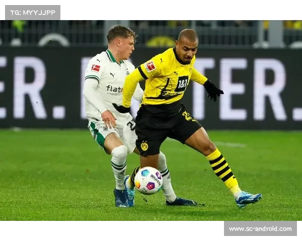 全方位解析如何获取澳洲杯赛事准确开赛时间指南与实用工具途径汇 全方位解析如何获取澳洲杯赛事准确开赛时间指南与实用工具途径汇